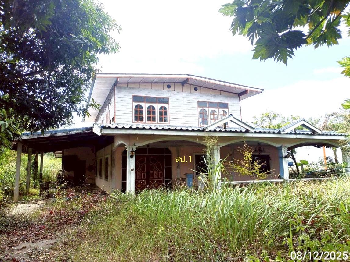 ขายบ้านเดี่ยว โนนสัง โนนสัง หนองบัวลำภู 4 ห้องนอน พื้นที่ใช้สอย 327.25 ตร.ม.