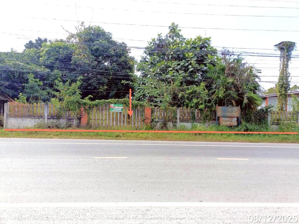 ขายบ้านเดี่ยว โนนสัง โนนสัง หนองบัวลำภู 4 ห้องนอน พื้นที่ใช้สอย 327.25 ตร.ม.