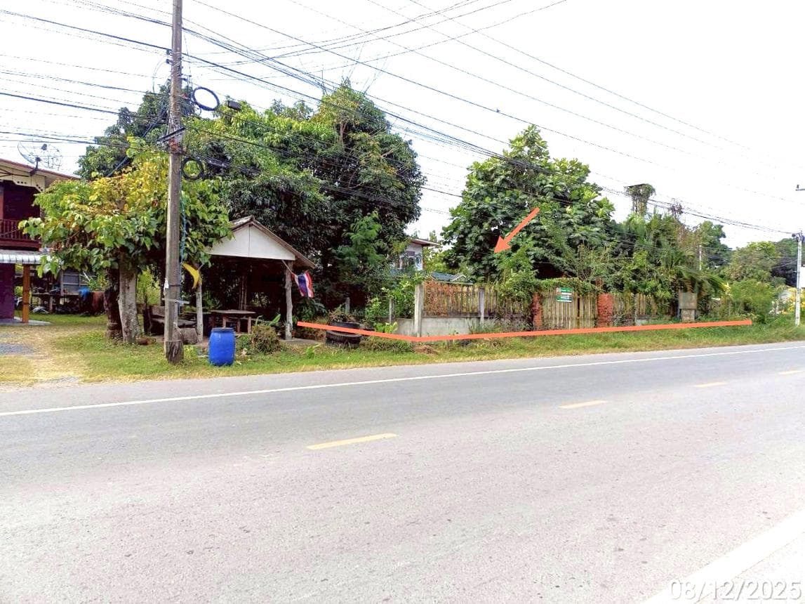 ขายบ้านเดี่ยว โนนสัง โนนสัง หนองบัวลำภู 4 ห้องนอน พื้นที่ใช้สอย 327.25 ตร.ม.