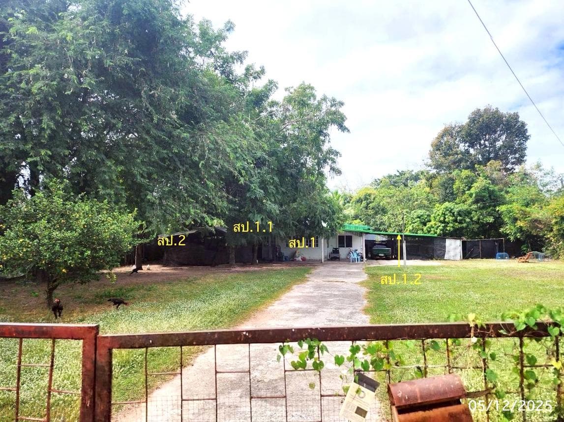 บ้านเดี่ยว ดอนเงิน เชียงยืน มหาสารคาม พื้นที่ใช้สอย 208.75 ตร.ม. บนที่ดิน 99 ตร.ว. ทำเลสงบ บรรยากาศส่วนตัว