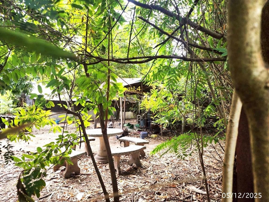 บ้านเดี่ยว ดอนเงิน เชียงยืน มหาสารคาม พื้นที่ใช้สอย 208.75 ตร.ม. บนที่ดิน 99 ตร.ว. ทำเลสงบ บรรยากาศส่วนตัว