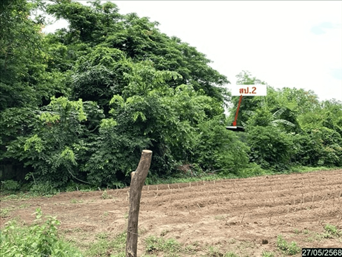 ขายบ้านเดี่ยว เชียงเครือ เมืองสกลนคร พื้นที่กว้าง 54 ตร.ว. ทำเลดีใกล้ ม.เกษตรฯ สกลนคร ราคาคุ้มค่า