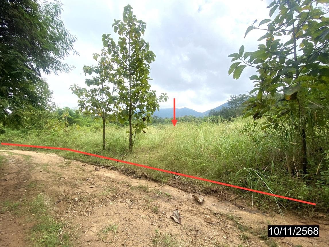 ขายที่ดินเปล่าผืนใหญ่ เมืองเลย ทำเลศรีสองรัก เนื้อที่ 8 ไร่ บรรยากาศดี เหมาะสำหรับทำการเกษตรหรือบ้านสวน