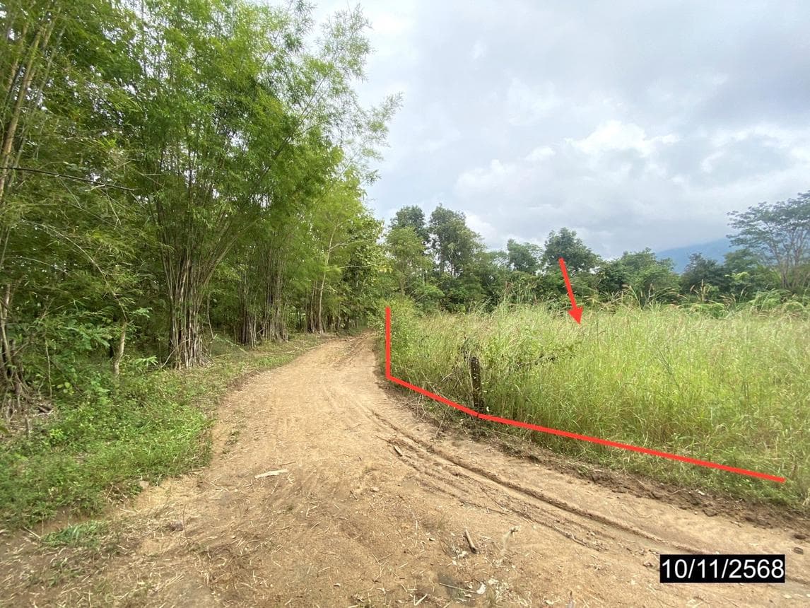 ขายที่ดินเปล่าผืนใหญ่ เมืองเลย ทำเลศรีสองรัก เนื้อที่ 8 ไร่ บรรยากาศดี เหมาะสำหรับทำการเกษตรหรือบ้านสวน