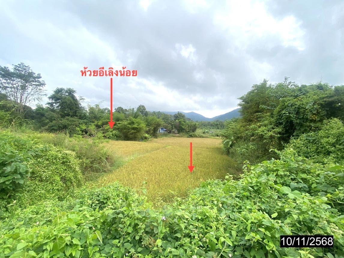 ขายที่ดินเปล่าผืนใหญ่ เมืองเลย ทำเลศรีสองรัก เนื้อที่ 8 ไร่ บรรยากาศดี เหมาะสำหรับทำการเกษตรหรือบ้านสวน