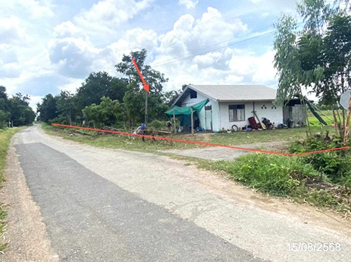 ขายบ้านเดี่ยวทำเลดี ต.หนองบัว อ.โกสุมพิสัย มหาสารคาม พื้นที่ใช้สอย 120.5 ตร.ม. บรรยากาศเงียบสงบ ราคาคุ้มค่า