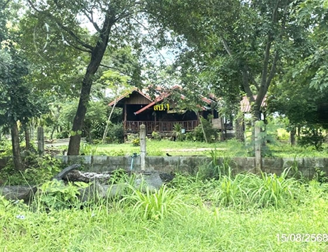 ขายบ้านเดี่ยวทำเลดี ต.หนองบัว อ.โกสุมพิสัย มหาสารคาม พื้นที่ใช้สอย 120.5 ตร.ม. บรรยากาศเงียบสงบ ราคาคุ้มค่า