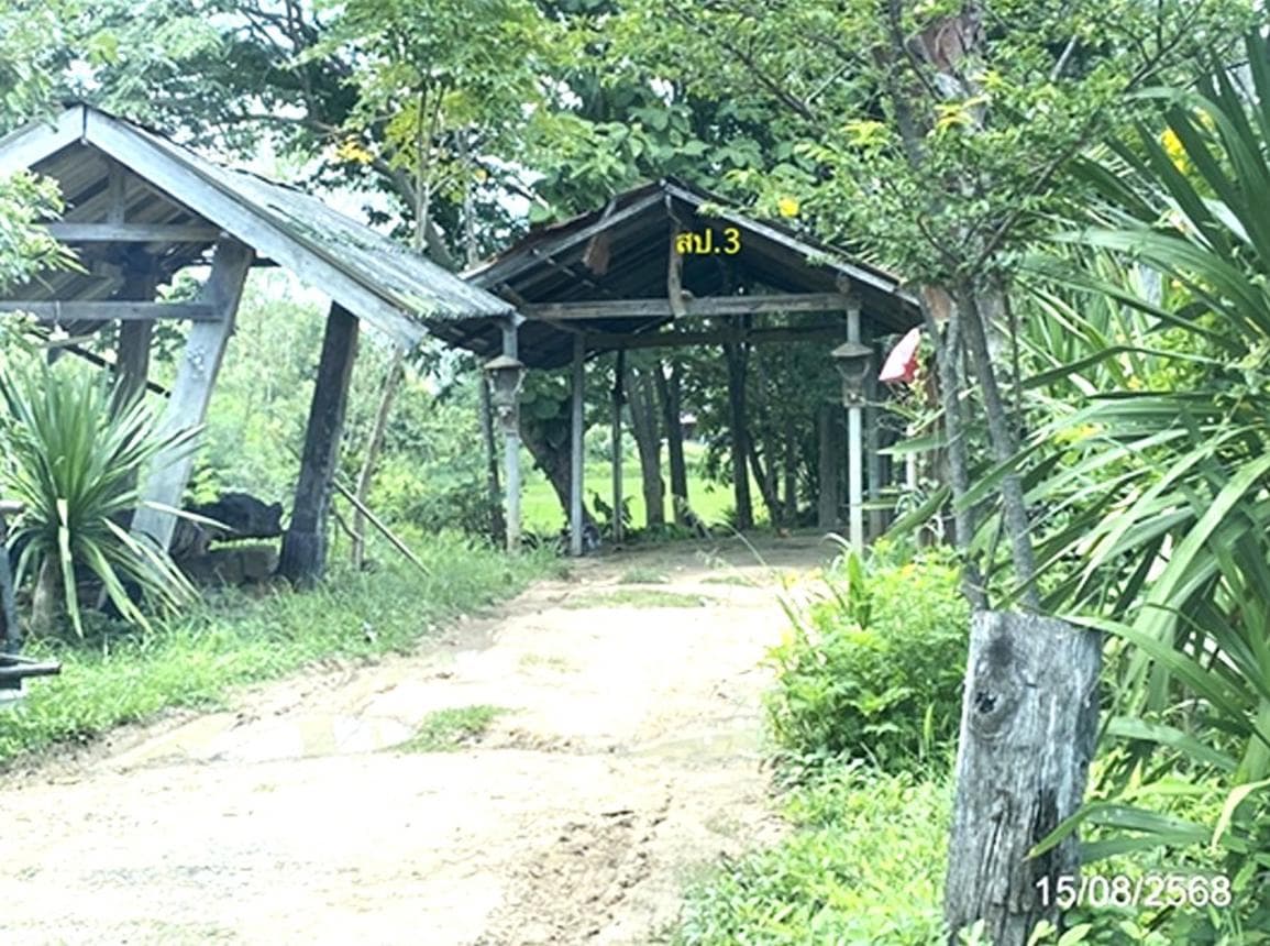 ขายบ้านเดี่ยวทำเลดี ต.หนองบัว อ.โกสุมพิสัย มหาสารคาม พื้นที่ใช้สอย 120.5 ตร.ม. บรรยากาศเงียบสงบ ราคาคุ้มค่า