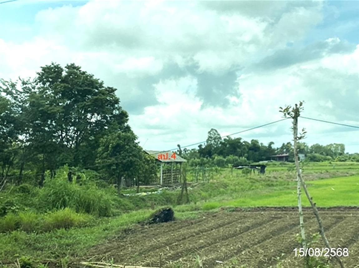 ขายบ้านเดี่ยวทำเลดี ต.หนองบัว อ.โกสุมพิสัย มหาสารคาม พื้นที่ใช้สอย 120.5 ตร.ม. บรรยากาศเงียบสงบ ราคาคุ้มค่า
