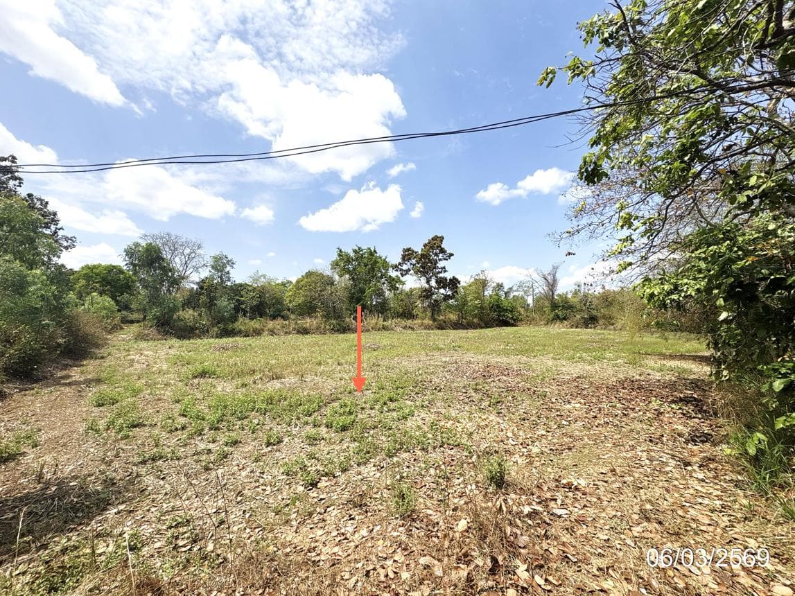 ที่ดินว่างเปล่า หนองเมือง ม่วงสามสิบ อุบลราชธานี เนื้อที่ 61 ตร.ว. ทำเลสงบเหมาะแก่การปลูกสร้างบ้านพักอาศัย ราคาไม่ถึงล้าน