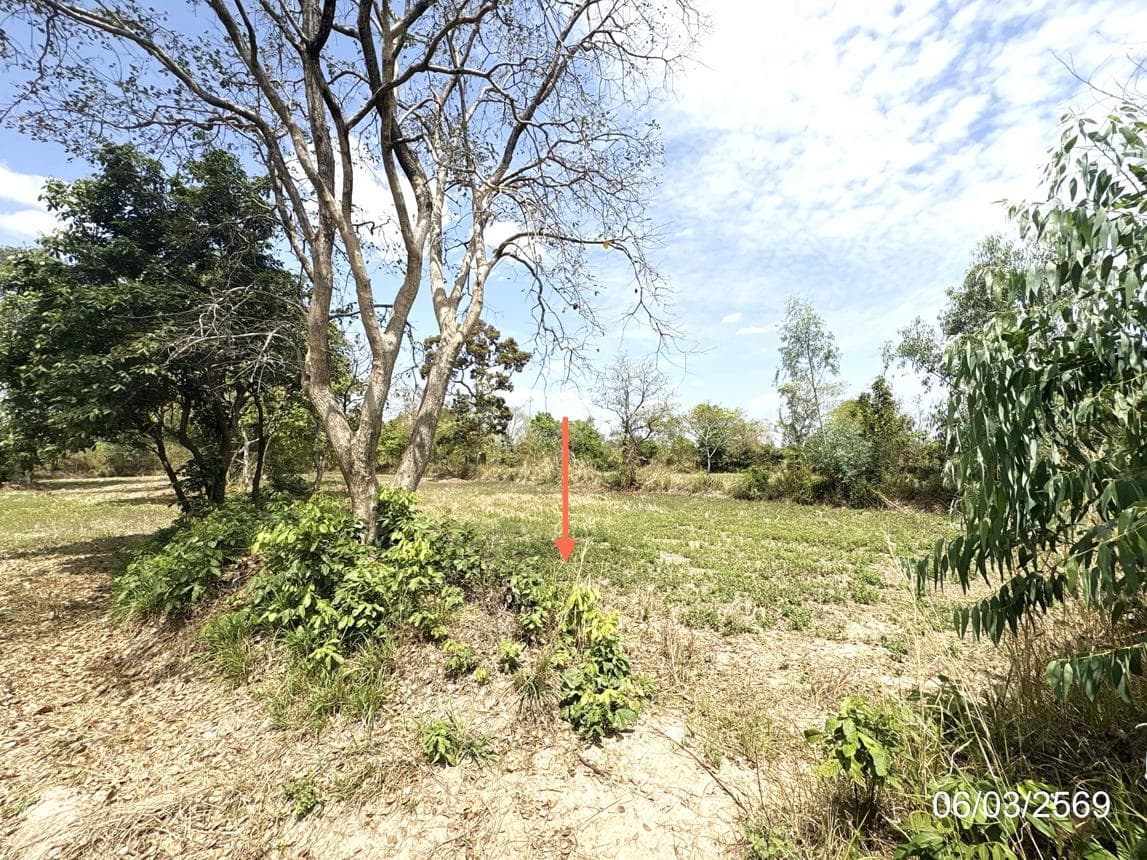 ที่ดินว่างเปล่า หนองเมือง ม่วงสามสิบ อุบลราชธานี เนื้อที่ 61 ตร.ว. ทำเลสงบเหมาะแก่การปลูกสร้างบ้านพักอาศัย ราคาไม่ถึงล้าน