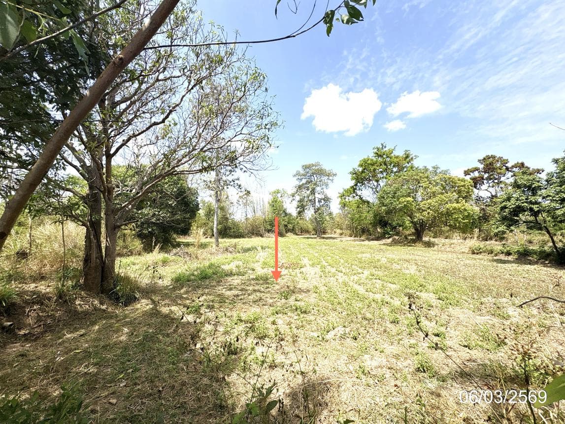 ที่ดินว่างเปล่า หนองเมือง ม่วงสามสิบ อุบลราชธานี เนื้อที่ 61 ตร.ว. ทำเลสงบเหมาะแก่การปลูกสร้างบ้านพักอาศัย ราคาไม่ถึงล้าน