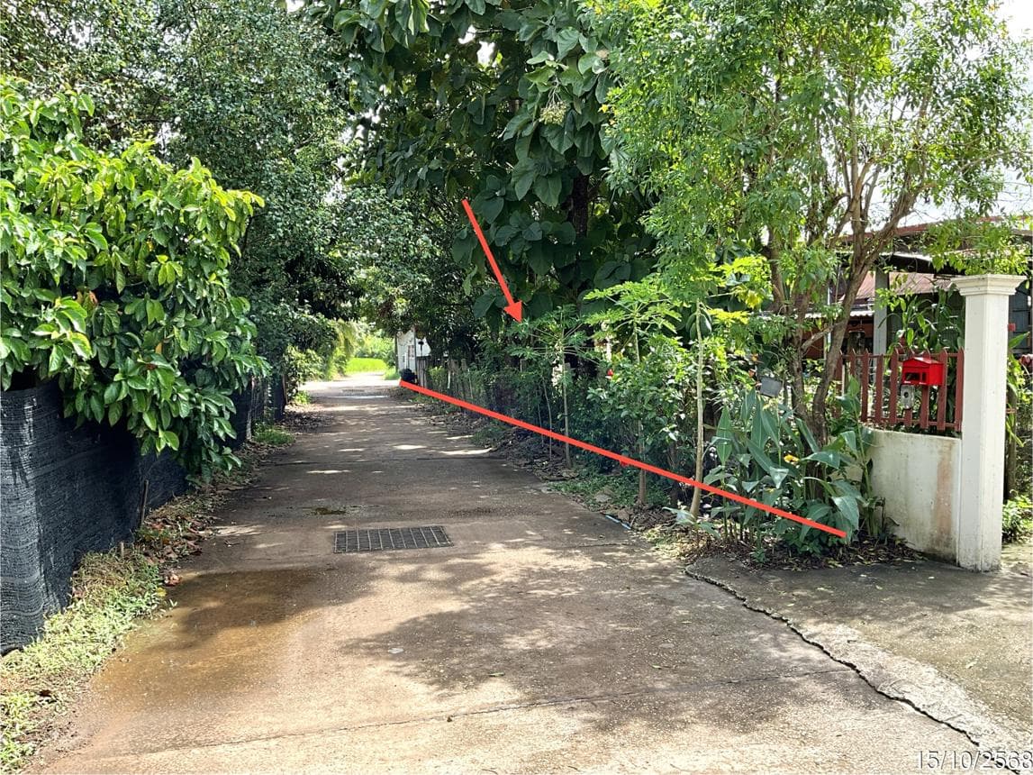ขายที่ดินเปล่าผืนสวย เมืองหนองคาย ทำเลเมืองหมี เนื้อที่ 14.2 ไร่ บรรยากาศดี เหมาะสำหรับการเกษตรและการลงทุน