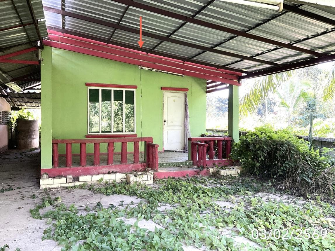 ขายบ้านเดี่ยว บ้านต๊ำ เมืองพะเยา 3 ห้องนอน พื้นที่กว้าง 212 ตร.ม. บรรยากาศสงบ ราคาเพียง 1.49 ล้าน