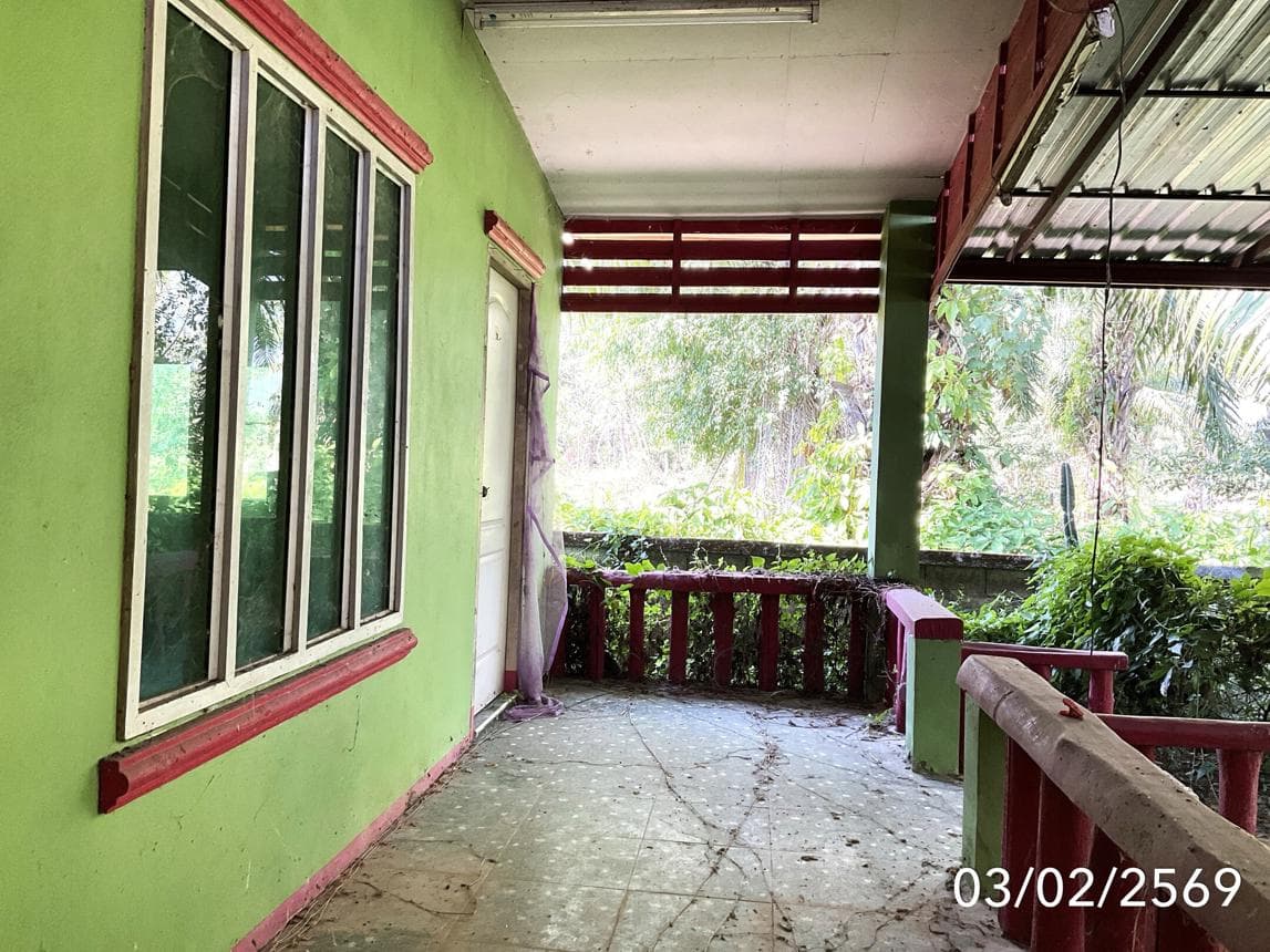 ขายบ้านเดี่ยว บ้านต๊ำ เมืองพะเยา 3 ห้องนอน พื้นที่กว้าง 212 ตร.ม. บรรยากาศสงบ ราคาเพียง 1.49 ล้าน
