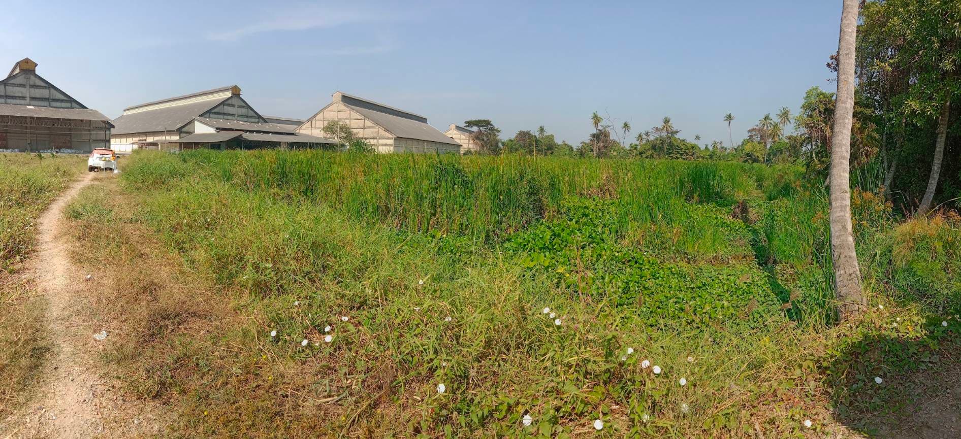 ขาย ที่ดิน เพชรเกษม พุทธมณฑลสาย 7 ขนาด 39 ไร่ ติดริมแม่น้ำ เหมาะสร้างหมู่บ้าน