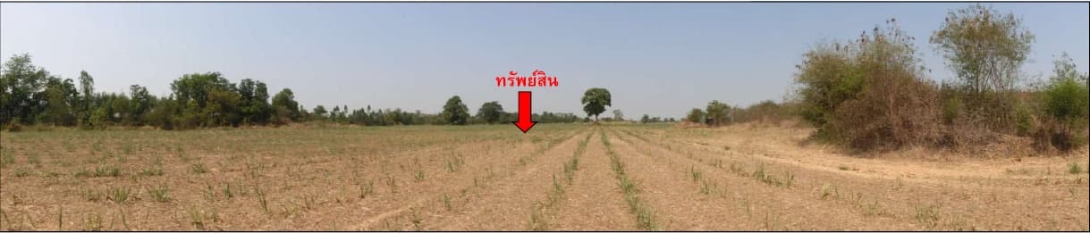 ที่ดินพร้อมสิ่งปลูกสร้าง ลำปลายมาศ บุรีรัมย์