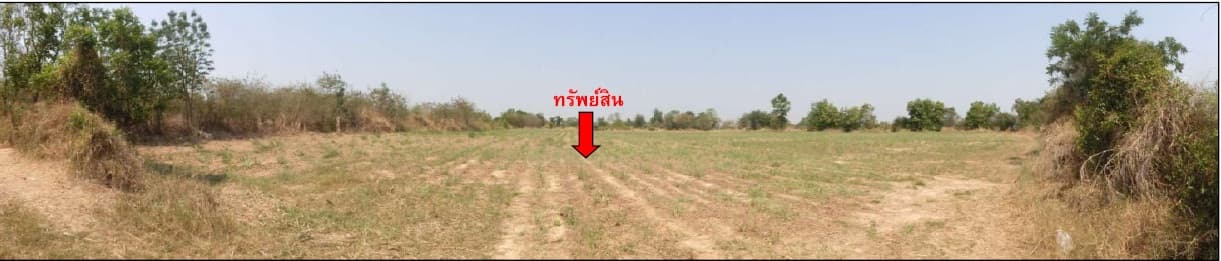 ที่ดินพร้อมสิ่งปลูกสร้าง ลำปลายมาศ บุรีรัมย์
