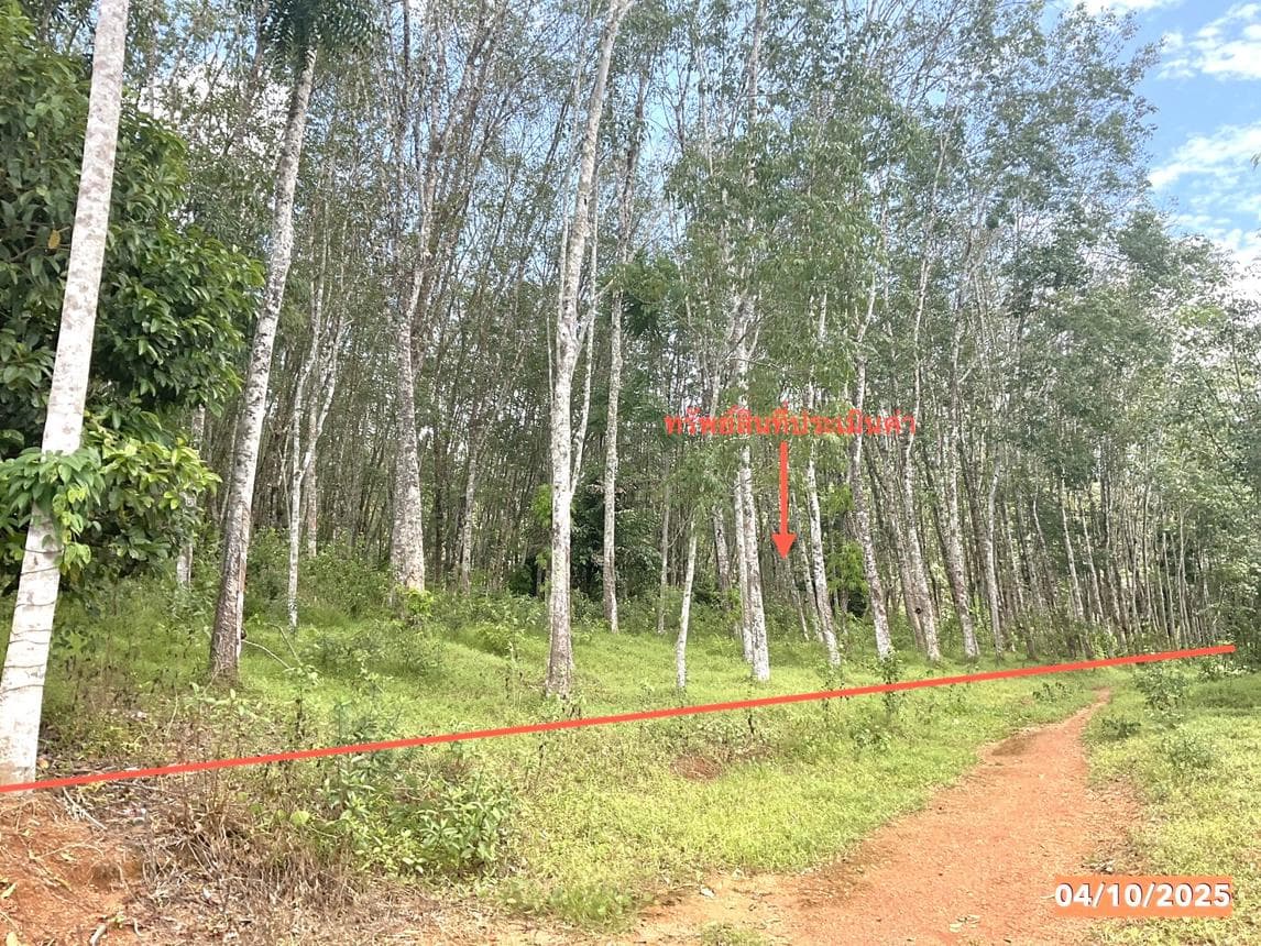 ที่ดินว่างเปล่า บางด้วน ปะเหลียน ตรัง เนื้อที่ 44 ตร.ว. ทำเลสงบ บรรยากาศดี เหมาะสำหรับสร้างที่อยู่อาศัยหรือซื้อเพื่อการลงทุน ราคา 3.1 ล้าน