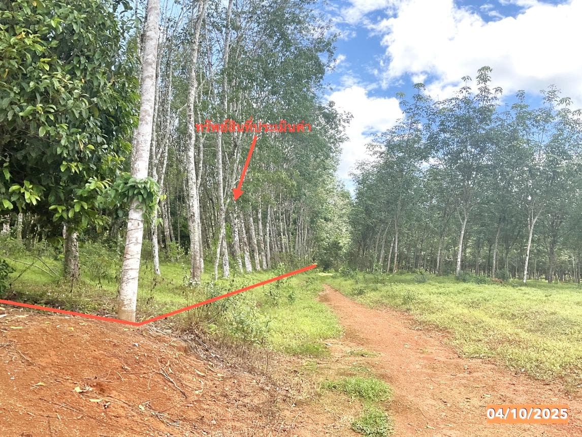 ที่ดินว่างเปล่า บางด้วน ปะเหลียน ตรัง เนื้อที่ 44 ตร.ว. ทำเลสงบ บรรยากาศดี เหมาะสำหรับสร้างที่อยู่อาศัยหรือซื้อเพื่อการลงทุน ราคา 3.1 ล้าน