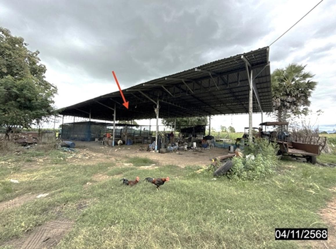 บ้านเดี่ยว 1 ห้องนอน พื้นที่ 458.5 ตร.ม. ทำเลศักยภาพ หนองโพ ตาคลี นครสวรรค์