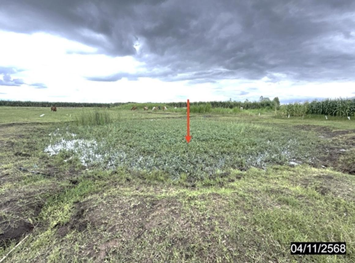 บ้านเดี่ยว 1 ห้องนอน พื้นที่ 458.5 ตร.ม. ทำเลศักยภาพ หนองโพ ตาคลี นครสวรรค์