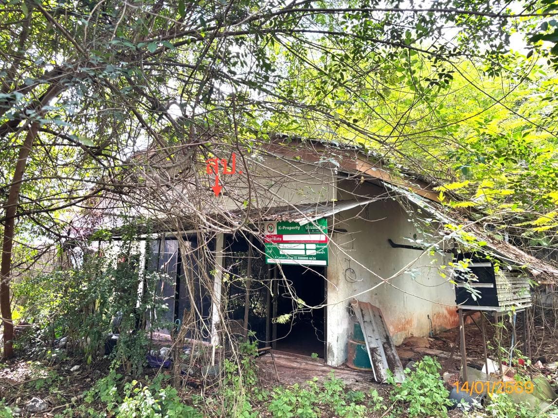 ขายบ้านเดี่ยว 1 ห้องนอน 1 ห้องน้ำ ทำเลศักยภาพ วัดประดู่ เมืองสุราษฎร์ธานี เดินทางสะดวก