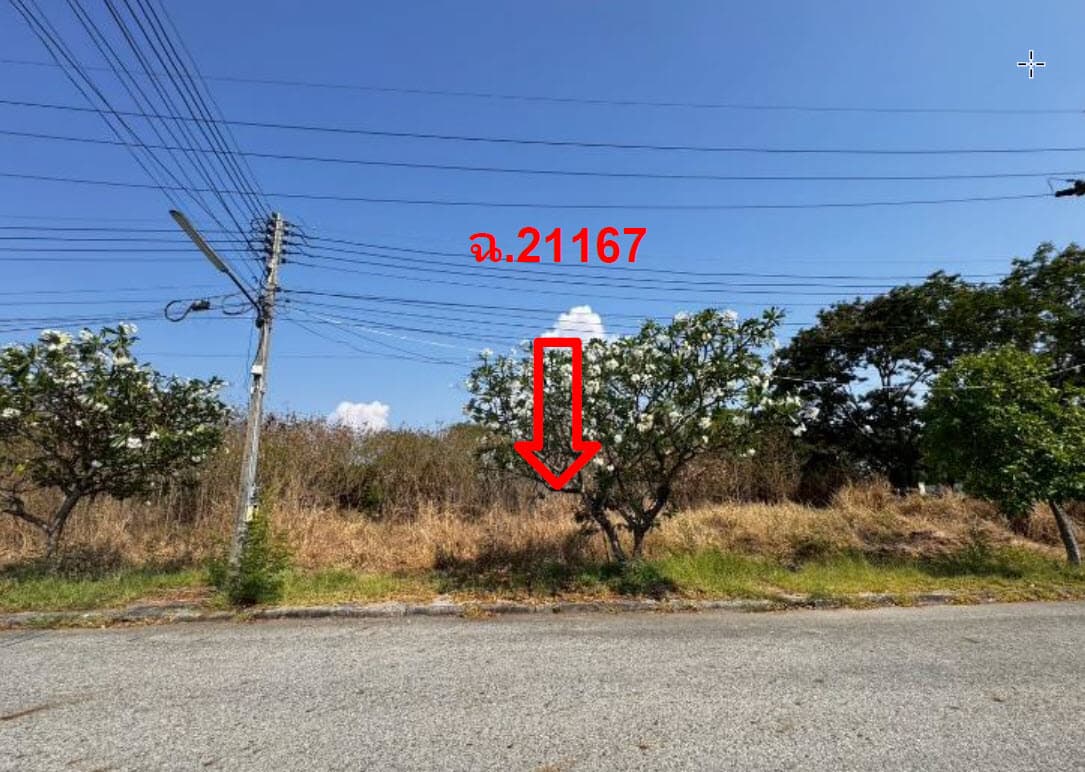 ที่ดินเปล่า บางปะกง ฉะเชิงเทรา