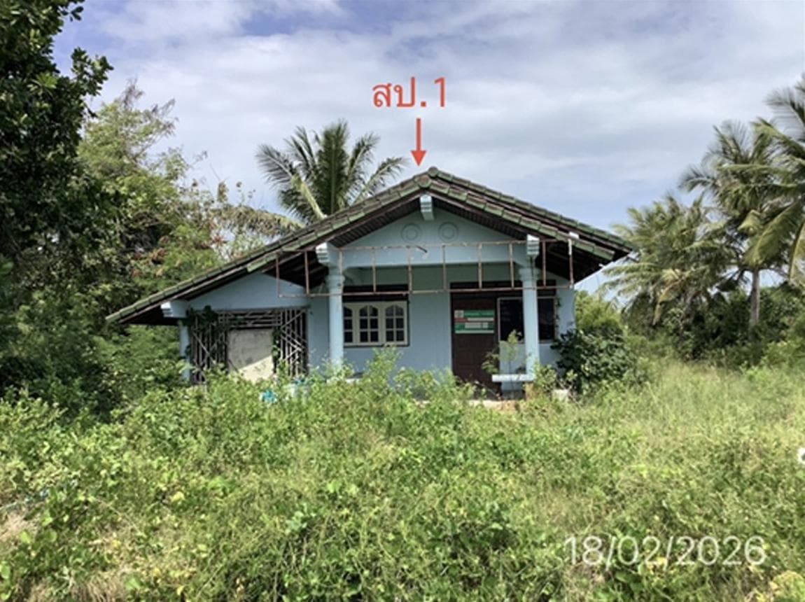 ขายบ้านเดี่ยวทำเลทอง ปากพนังฝั่งตะวันออก นครศรีธรรมราช พื้นที่กว้างขวาง เหมาะอยู่อาศัยและลงทุน