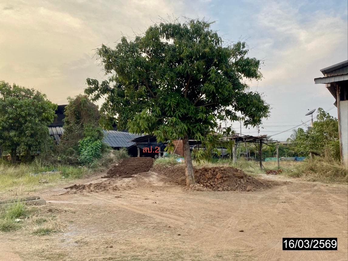 ขายโกดัง เมืองขอนแก่น ทำเลโคกสี พื้นที่ใช้สอย 486 ตร.ม. บนที่ดิน 45 ตร.ว. เหมาะสำหรับคลังสินค้าและศูนย์กระจายสินค้า