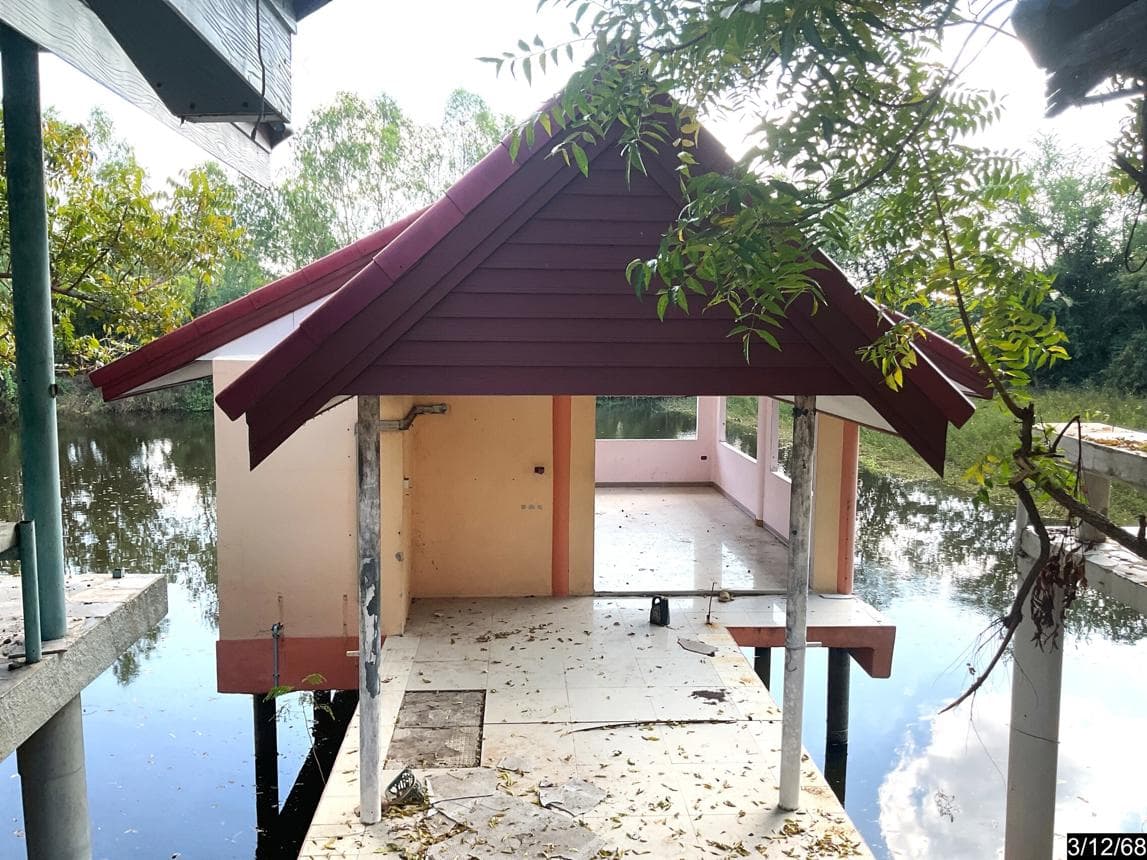 ขายบ้านเดี่ยว โตนด โนนสูง นครราชสีมา 4 ห้องนอน พื้นที่ใช้สอย 670.75 ตร.ม.