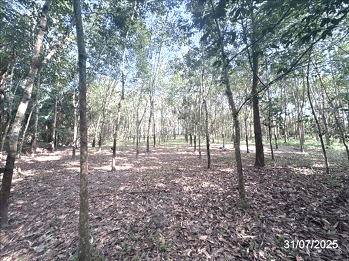 ขายบ้านเดี่ยว ตะกาง เมืองตราด พื้นที่ใช้สอยกว้างขวาง 199 ตร.ม. 3 ห้องนอน ทำเลดี บรรยากาศเงียบสงบ