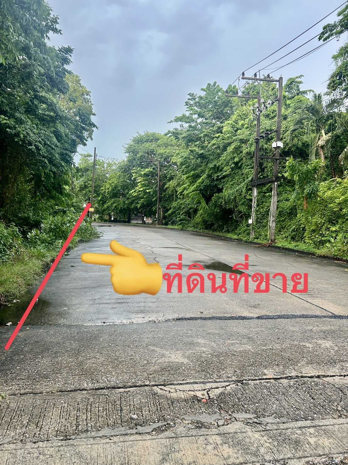หมู่บ้านเลคการ์เด้นรังสิต
