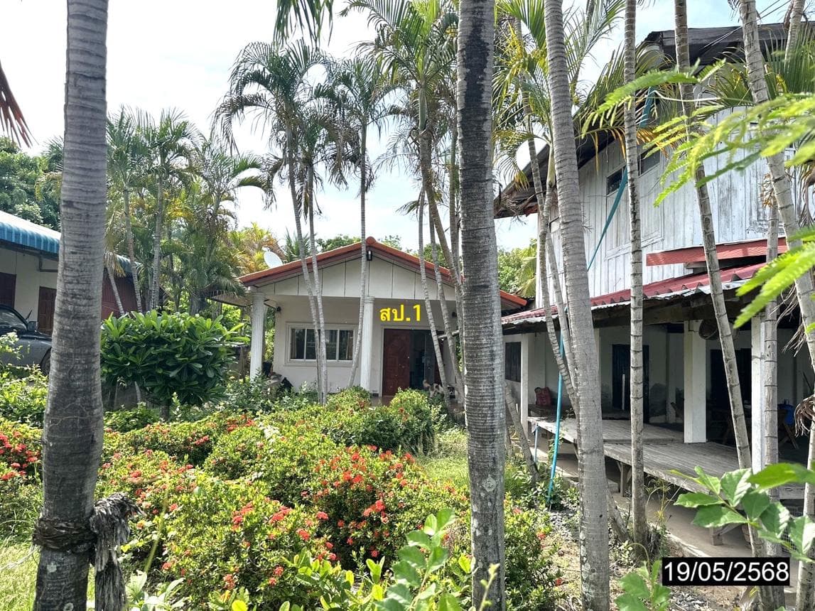 บ้านเดี่ยว หนองไฮ วาปีปทุม มหาสารคาม 2 ห้องนอน 1 ห้องน้ำ พื้นที่ 82.5 ตร.ม. ทำเลสงบเป็นส่วนตัว ราคา 2 ล้านต้นๆ
