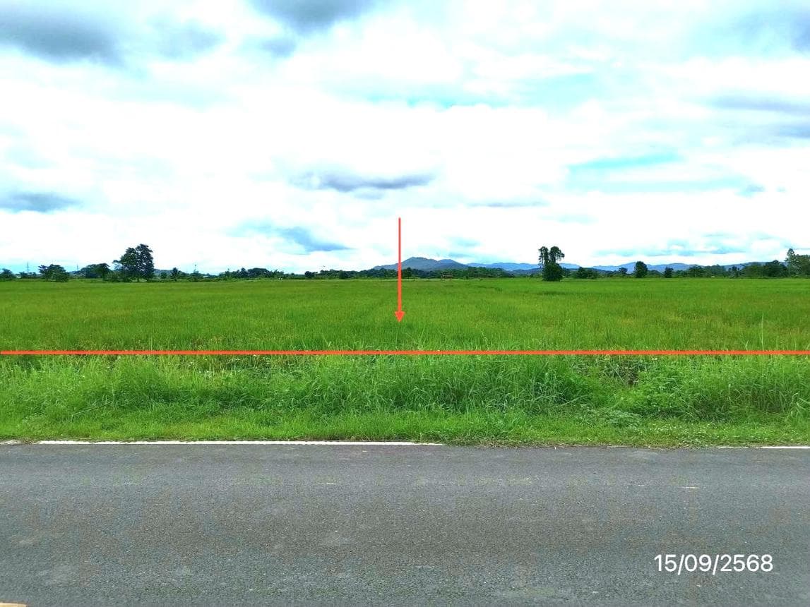 ที่ดินเปล่า เนื้อที่ 44 ตร.ว. ทำเลศักยภาพ เมืองพาน พาน เชียงราย