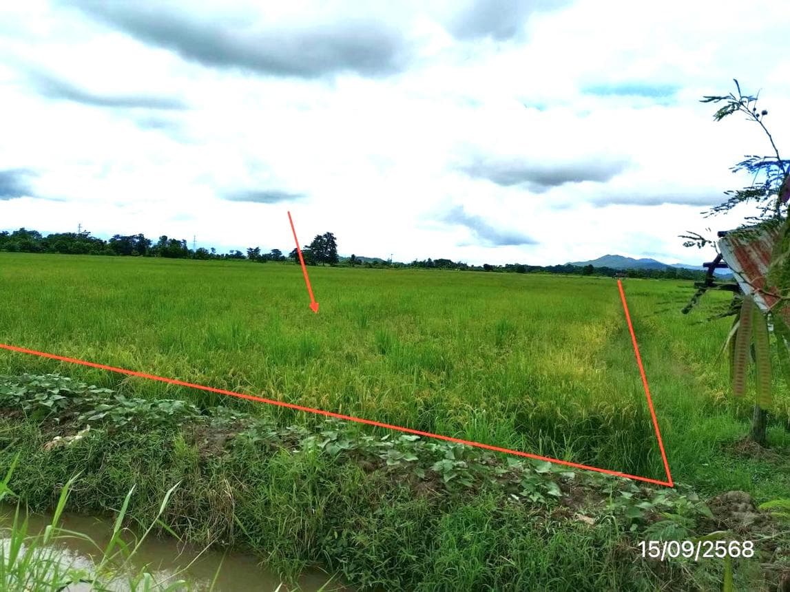ที่ดินเปล่า เนื้อที่ 44 ตร.ว. ทำเลศักยภาพ เมืองพาน พาน เชียงราย