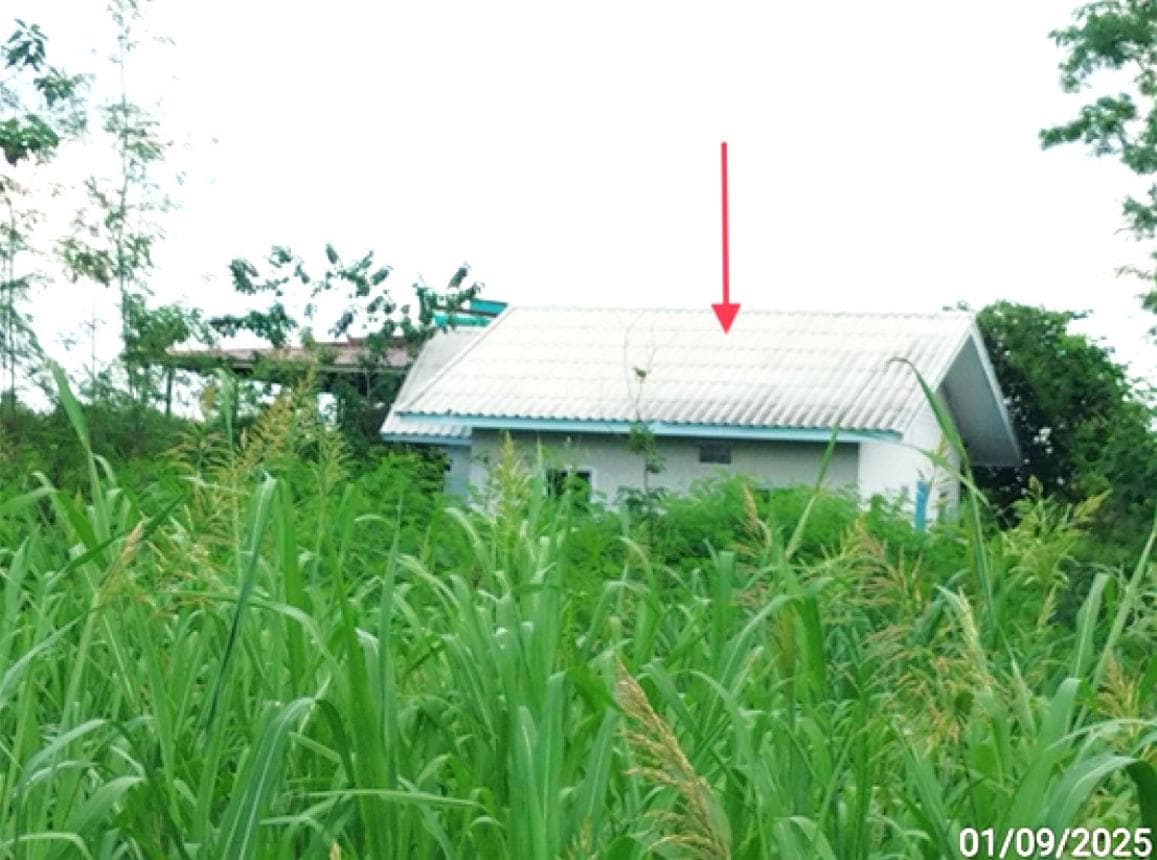 บ้านเดี่ยวหลังใหญ่ พื้นที่กว้างขวาง 95 ตร.ว. ทำเลวังม่วง สระบุรี บรรยากาศสงบเป็นส่วนตัว