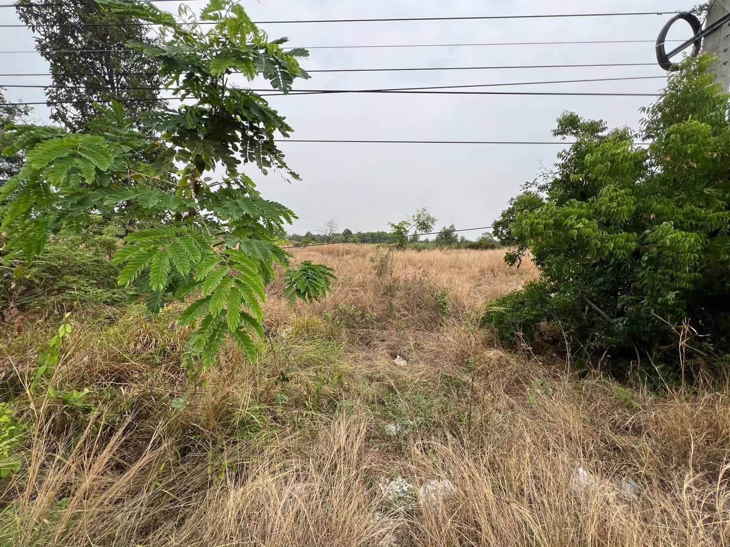 ที่ดินเปล่า ลำปลายมาศ บุรีรัมย์
