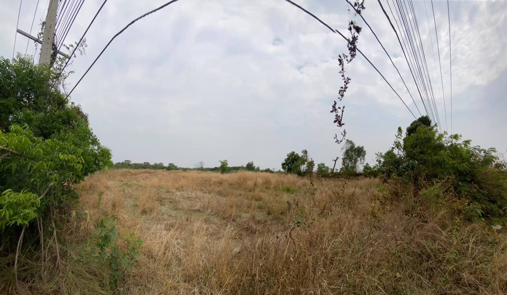 ที่ดินเปล่า ลำปลายมาศ บุรีรัมย์