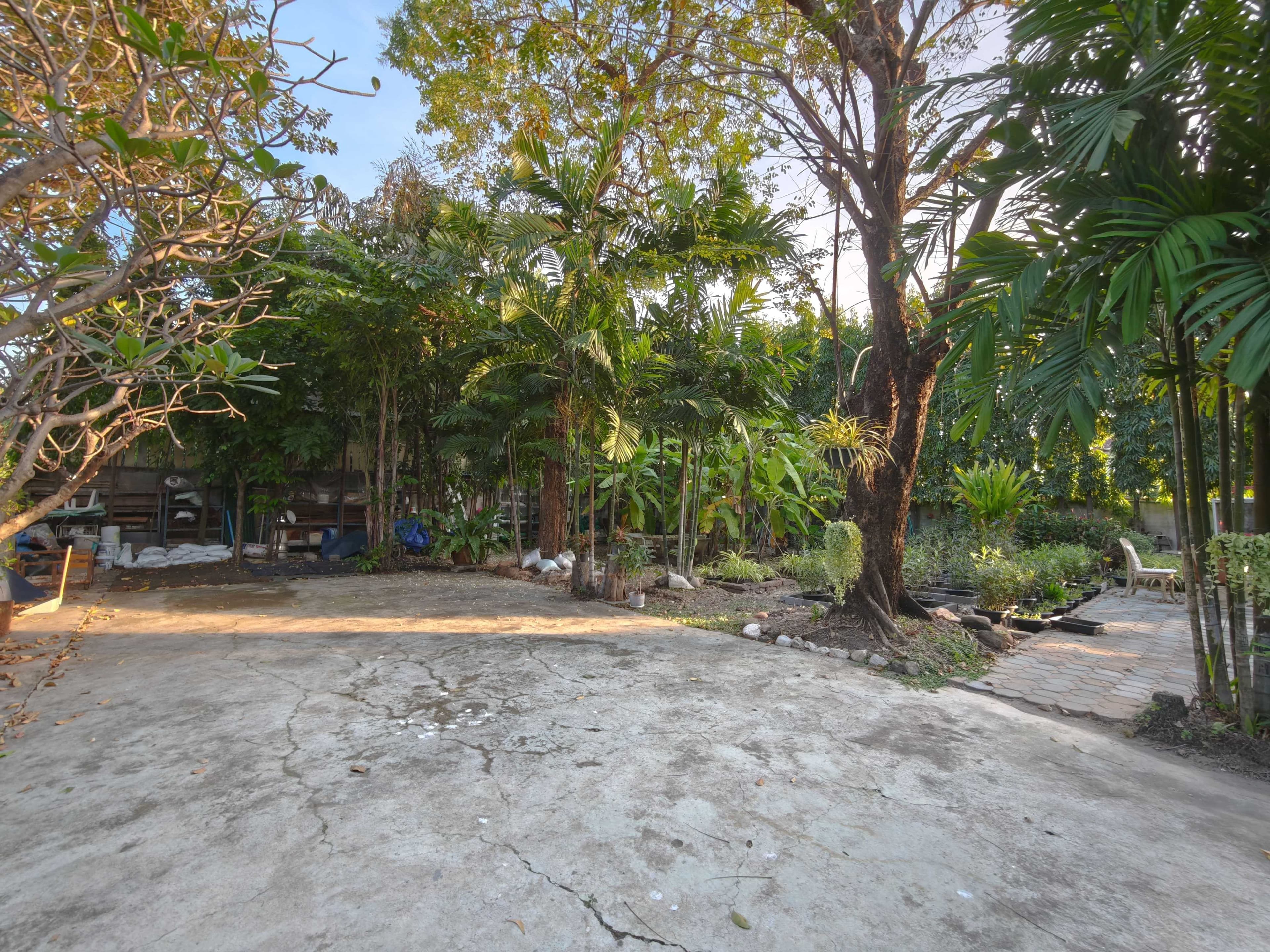 ขาย ที่ดินเปล่า 90 วา หมู่บ้านผกามาศ ปรีดีพนมยงค์ ซอย 14 | สุขุมวิท 71 | เขตสวนหลวง