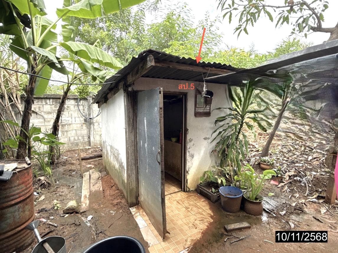 บ้านเดี่ยว หนองสังข์ แก้งคร้อ ชัยภูมิ 3 ห้องนอน พื้นที่ใช้สอยจุใจ 305 ตร.ม. ทำเลสงบ วิวธรรมชาติ ราคาคุ้มค่า