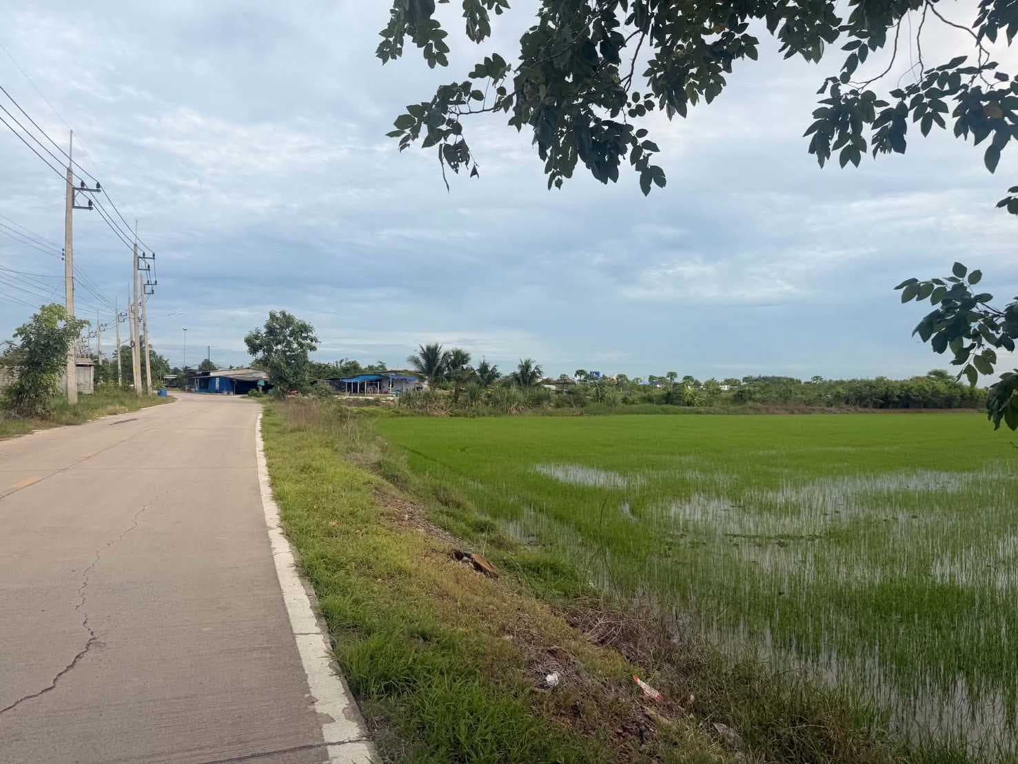 ขายที่ผืนใหญ่สวยมาก 26 ไร่ อ.เมืองปทุมธานี จ.ปทุมธานี