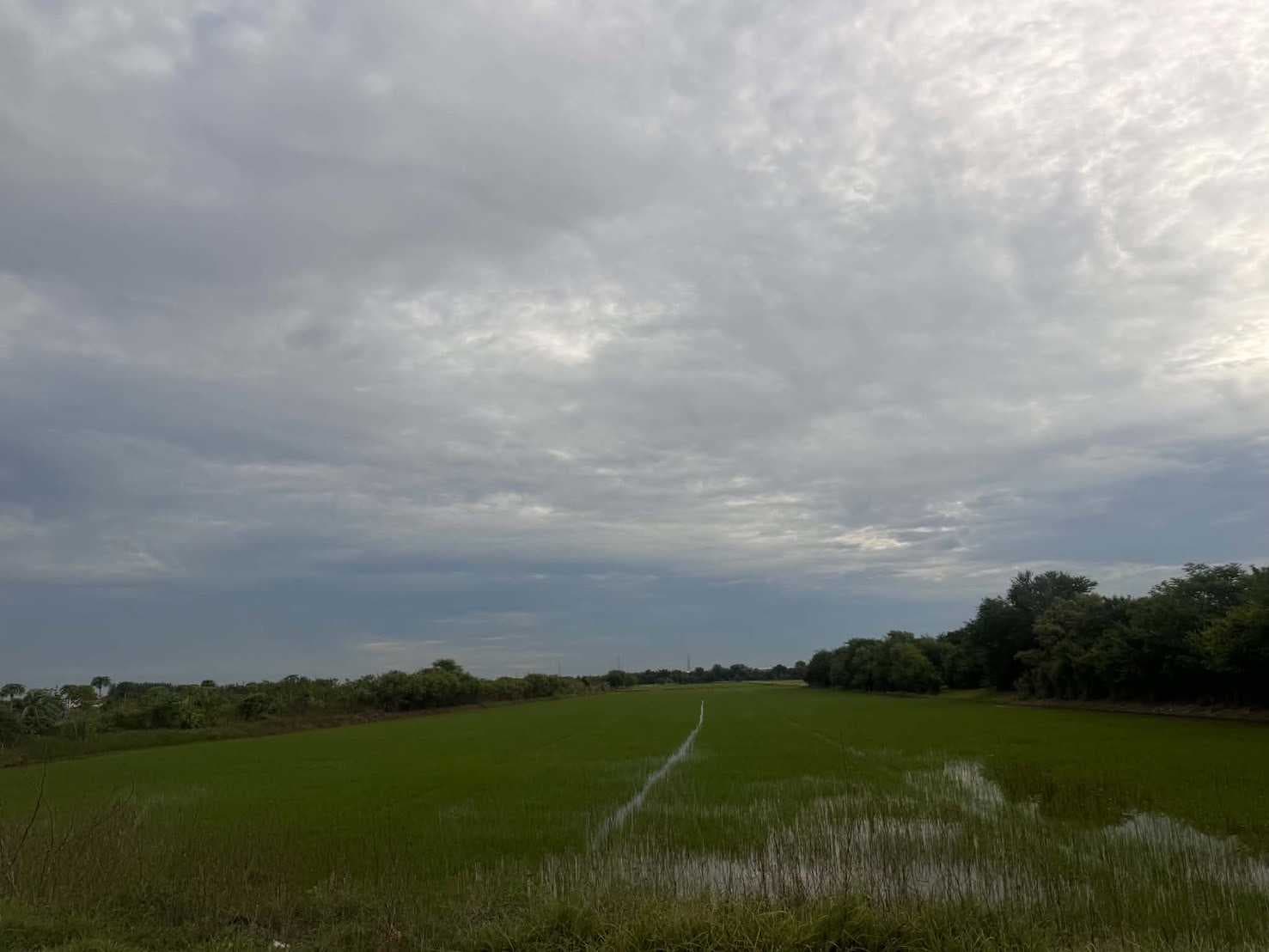 ขายที่ผืนใหญ่สวยมาก 26 ไร่ อ.เมืองปทุมธานี จ.ปทุมธานี