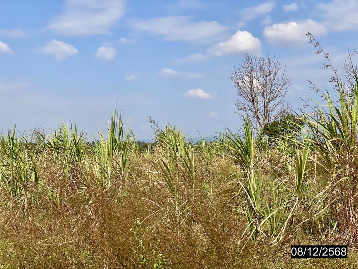 ที่ดินว่างเปล่า พื้นที่ 73 ตร.ว. ทำเลศักยภาพ โพนเพ็ก มัญจาคีรี ขอนแก่น