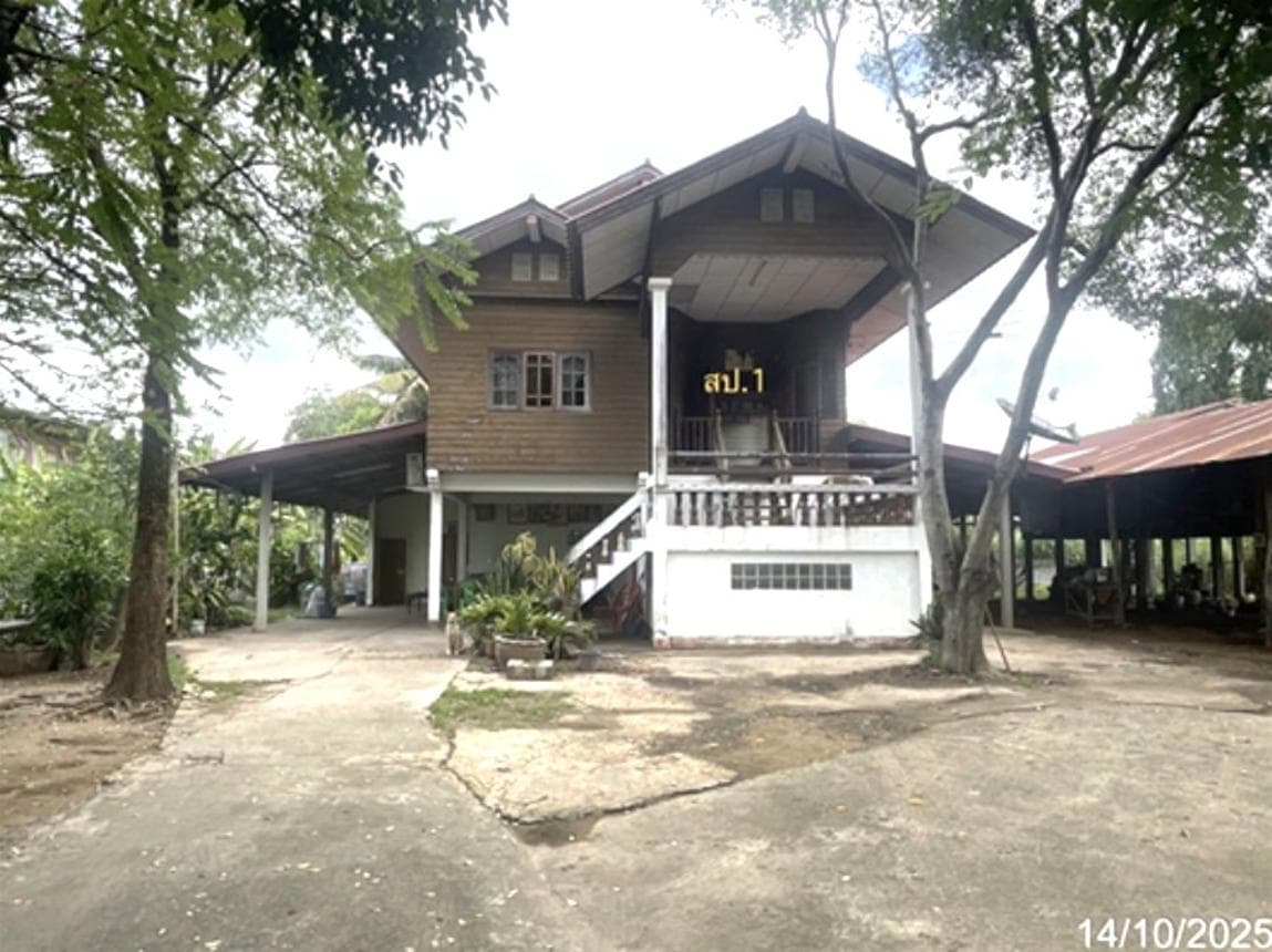 ขายบ้านเดี่ยว พนมไพร ร้อยเอ็ด พื้นที่ใช้สอยกว้างขวาง 314.5 ตร.ม. ทำเลโคกสว่าง บรรยากาศร่มรื่น