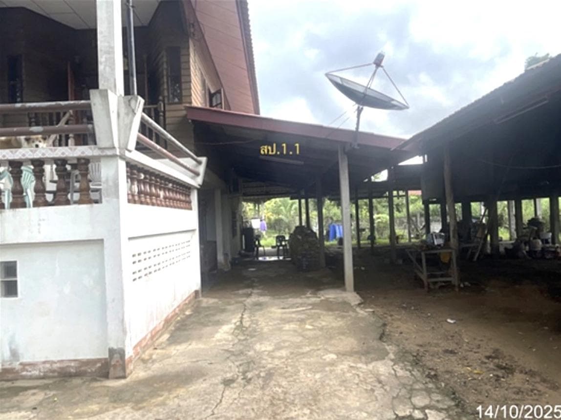 ขายบ้านเดี่ยว พนมไพร ร้อยเอ็ด พื้นที่ใช้สอยกว้างขวาง 314.5 ตร.ม. ทำเลโคกสว่าง บรรยากาศร่มรื่น