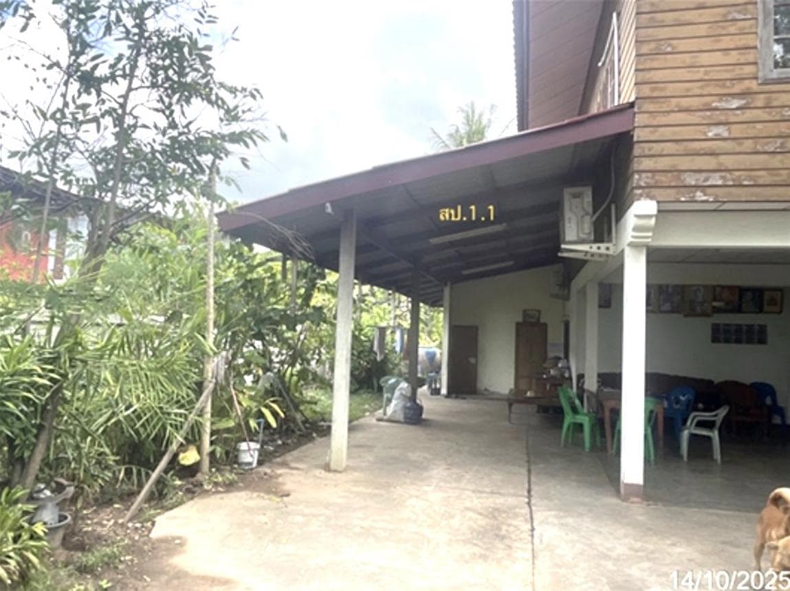 ขายบ้านเดี่ยว พนมไพร ร้อยเอ็ด พื้นที่ใช้สอยกว้างขวาง 314.5 ตร.ม. ทำเลโคกสว่าง บรรยากาศร่มรื่น