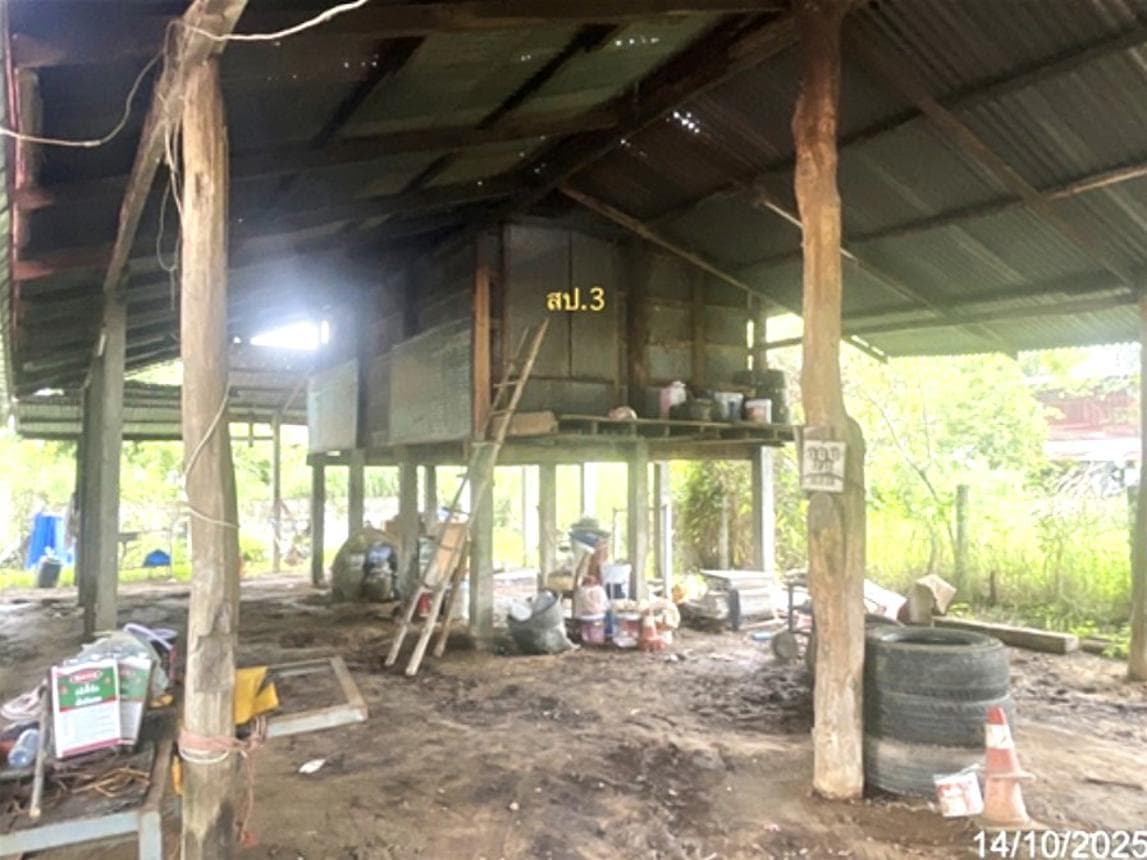 ขายบ้านเดี่ยว พนมไพร ร้อยเอ็ด พื้นที่ใช้สอยกว้างขวาง 314.5 ตร.ม. ทำเลโคกสว่าง บรรยากาศร่มรื่น