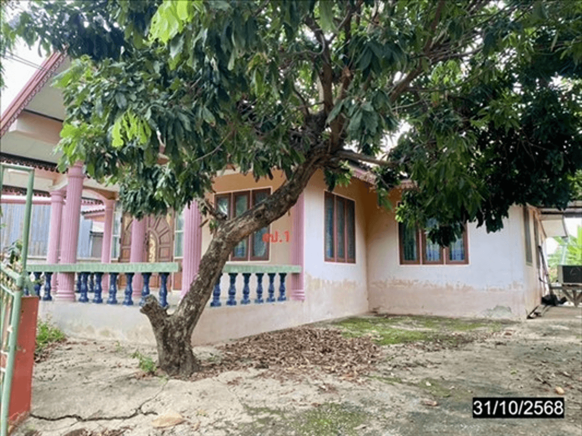 ขายบ้านเดี่ยวหลังใหญ่ 3 ห้องนอน 2 ห้องน้ำ บนเนื้อที่ 87.6 ตร.ว. ต.บ้านโคก อ.โคกโพธิ์ไชย ขอนแก่น พื้นที่กว้างราคาประหยัด