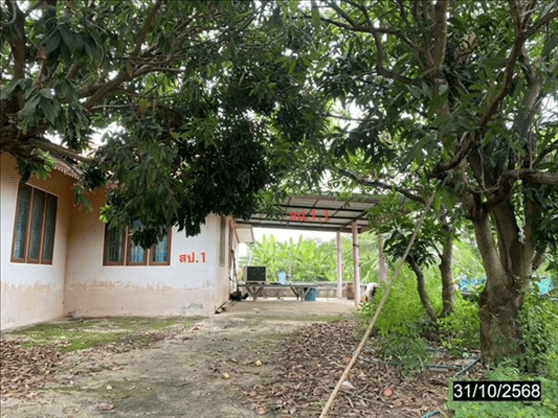ขายบ้านเดี่ยวหลังใหญ่ 3 ห้องนอน 2 ห้องน้ำ บนเนื้อที่ 87.6 ตร.ว. ต.บ้านโคก อ.โคกโพธิ์ไชย ขอนแก่น พื้นที่กว้างราคาประหยัด